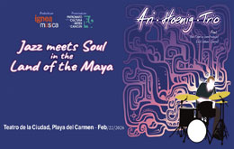 Ari Hoenig Trio presentan: 