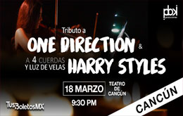 Tributo a One Direction y Harry Styles 