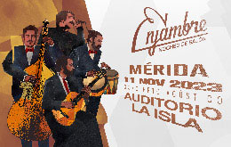 Enjambre en Mérida