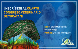 IV Congreso Veterinario de Yucatán: Taller de Identificación de Hemoparásitos