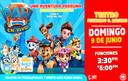 Paw Patrol, Bluey y Bingo: Una Aventura Perruna en Boca del Río