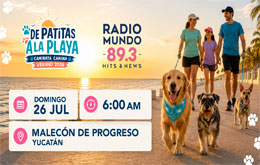 De Patitas a la Playa - Progreso